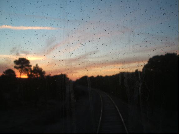 Pinos del amanecer entre Soria y Almazán.JPG