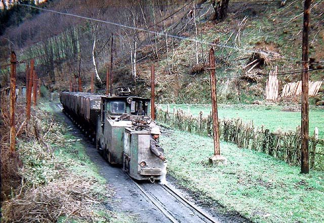 Cerezal.jpg (139.46 KiB) Visto 14794 veces Cerezal.jpg